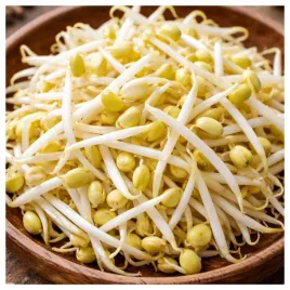 soja-nasiona-na-kielki-duze-opakowanie