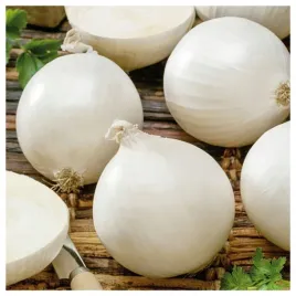 cebula-biala-avalon-duza-plenna-wczesna-wysoka-jakosc-nasiona-warzyw