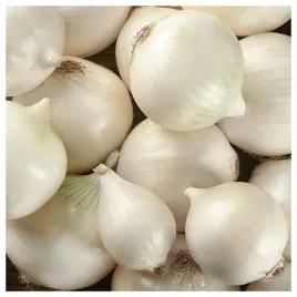 cebula-biala-avalon-dymka-plenna-duza-lagodny-smak-nasiona-3g