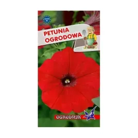 petunia-ogrodowa-czerwona-01g-o
