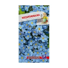 niezapominajka-niebieska-05g-o