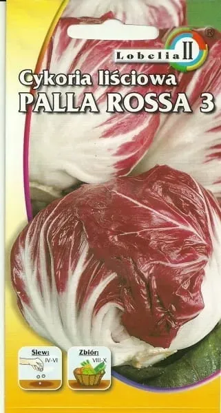 cykoria-palla-rossa3-5g-l