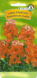 lwia-paszcza-pomaranczowa-05g-l