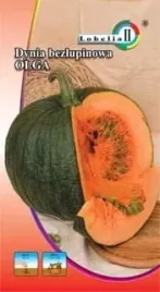 dynia-olga-bezlupinowa-3g-l