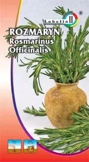 rozmaryn-01g-l