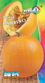 dynia-olbrzymia-bambino-2g-l