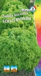 salata-lisciowa-zielona-lollo-bionda-1g-l