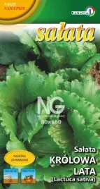 salata-lodowa-krolowa-lata-1g-l