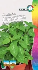 szalwia-lekarska-1g-l
