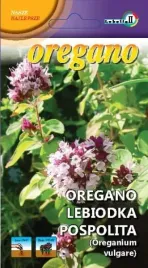 oregano-lebiodka-pospolita-01g-l