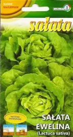 salata-maslowa-ewelina-1g-l