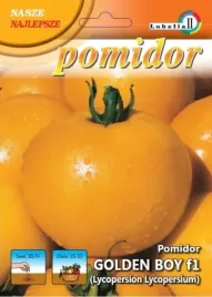 pomidor-golden-boy-03g-l