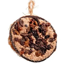 kokos-nadziewany-1-2-rodzynkowy-karma-dla-ptakow