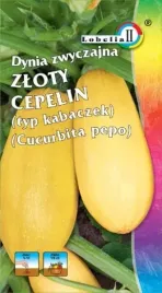 dynia-zwyczajna-kabaczek-zloty-cepelin-3g-l