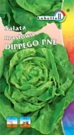 salata-maslowa-dippego-1g-l
