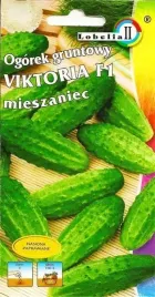 ogorek-konserwowy-victoria-f1-2g-l