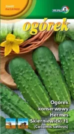 ogorek-konserwowy-hermes-skierniewicki-2g-l