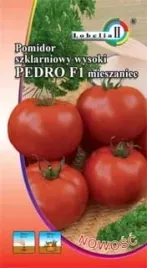 pomidor-gruntowy-pedro-05g-l