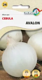 cebula-avalon-3g-l