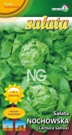 salata-maslowa-nochowska-1g-l