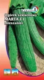 ogorek-szklarniowy-dlugi-wezowaty-marta-1g-l