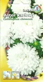 aster-karlowy-bialy-1g-l