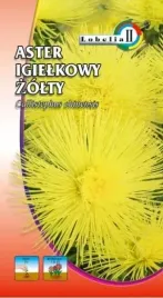 aster-igielkowy-zolty-1g-l