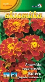 aksamitka-rozpierzchla-bolero-1g-l