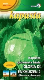 kapusta-biala-slawa-z-golebiewa-2g-l