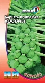 kapusta-brukselska-roodnef-2g-l