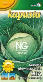 kapusta-biala-pozna-dita-2g-l