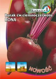 burak-ciemnoczerwony-bona-10g-l