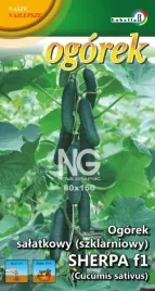 ogorek-szklarniowy-krotki-sherpa-1g-l
