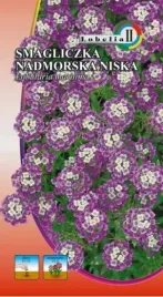 smagliczka-nadmorska-fioletowa-05g-l