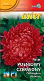 aster-peoniowy-czerwony-stanislaw-1g-l