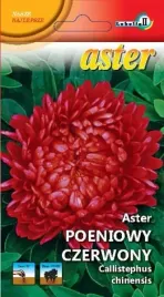 aster-peoniowy-czerwony-stanislaw-1g-l