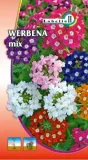 werbena-ogrodowa-mix-03g-l
