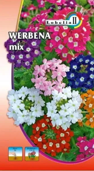 werbena-ogrodowa-mix-03g-l