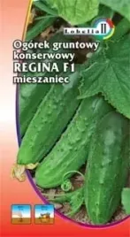 ogorek-konserwowy-regina-5g-l