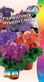 pierwiosnek-mix-02g-l