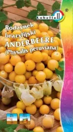 rodzynek-brazylijski-andenbeere-02g-l