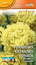 aster-peoniowy-kremowy-sonata-1g-l