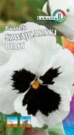 bratek-szwajcarski-bialy-z-plama-03g-l