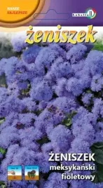 zeniszek-meksykanski-fioletowy-03g-l