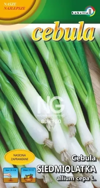 cebula-siedmiolatka-2g-l