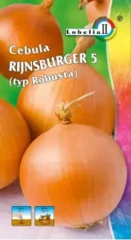 cebula-rijnsburger-pozna-5g-l