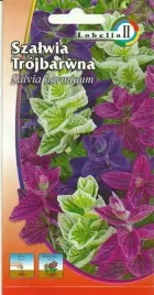 szalwia-trojbarwna-mix-03g-l