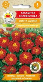 aksamitka-rozpierzchla-bonita-carmen-1g-t