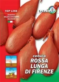 cebula-rossa-lunga-di-firenze-2g-l
