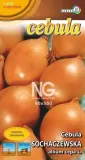 cebula-sochaczewska-5g-l